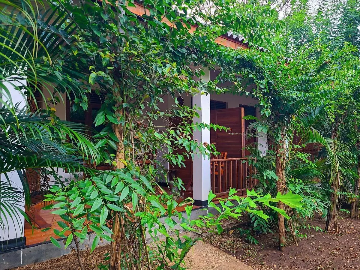 Woodholic Homestay Sigirija