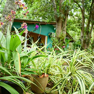 Kwatera prywatna Palitha, Sigirija