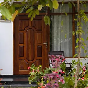  Homestay Freedom