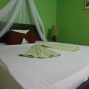  Homestay Bamboo House