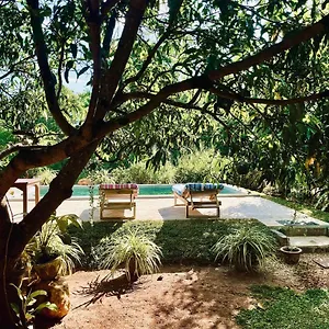  Homestay Shan Mango