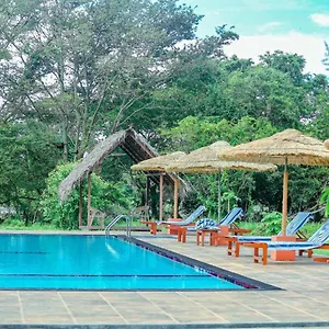  Homestay Peacock Homestay