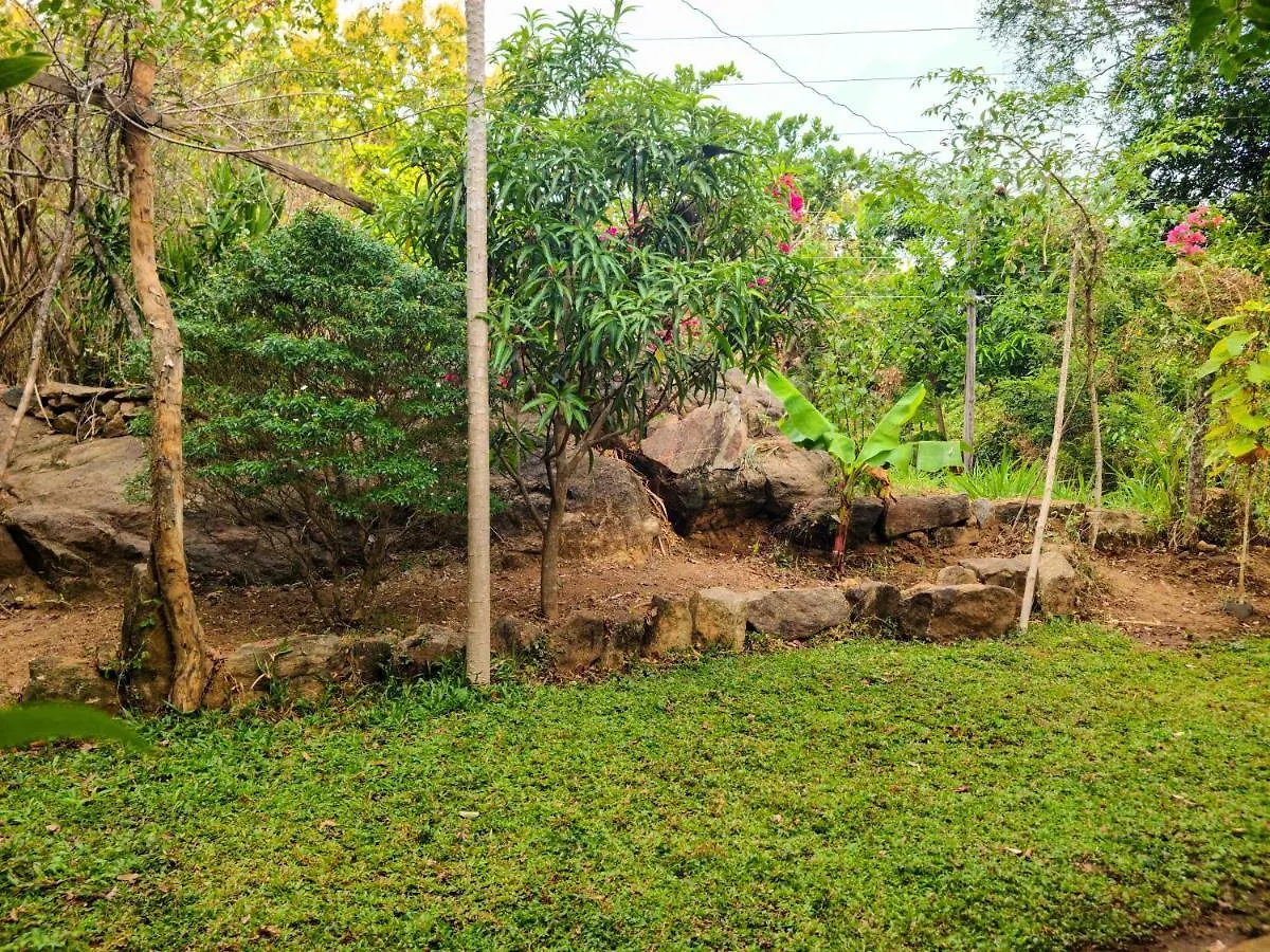 Woodholic Homestay Sigiriya