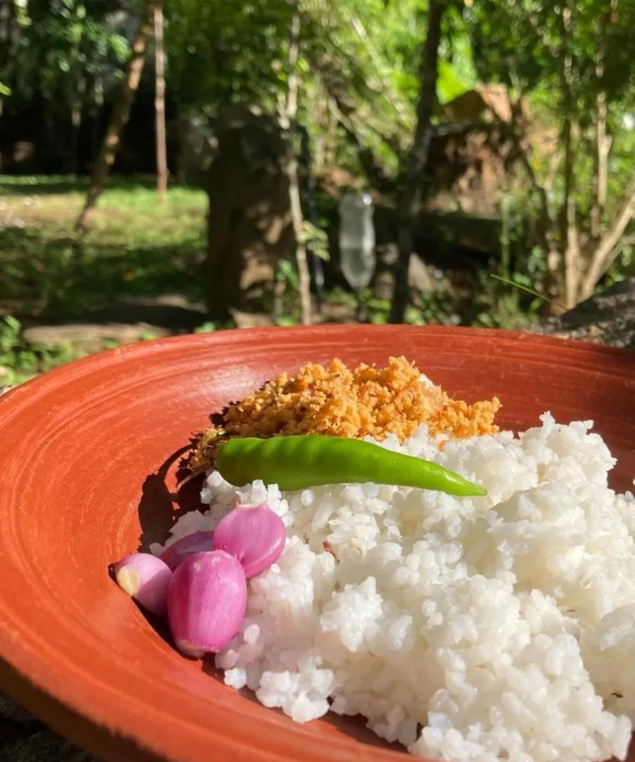 Woodholic Homestay Sigiriya